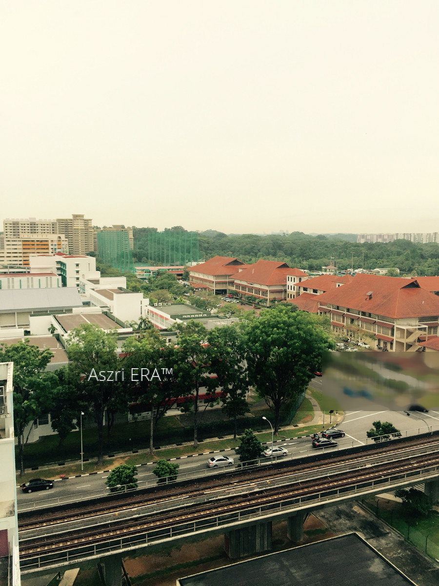 Blk 388 Bukit Batok West Avenue 5 (Bukit Batok), HDB 5 Rooms #120158922